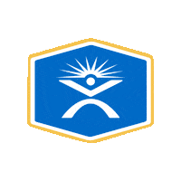 PTSolutions pts physicaltherapy ptsolutions ptsfam Sticker