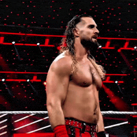 Seth Rollins Wwe GIF