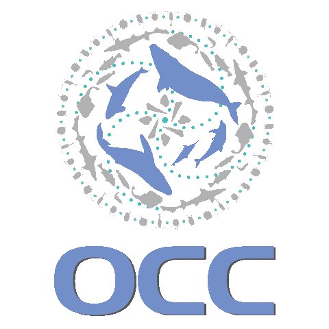 oceanosanos giphyupload ocean whale uruguay Sticker