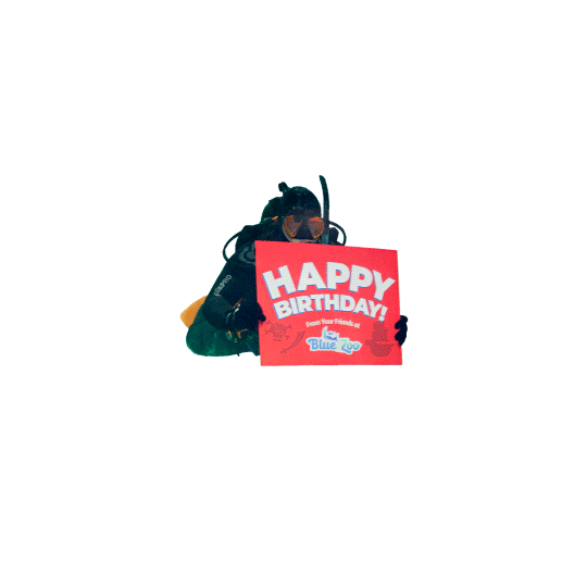Birthday Bday Sticker by Blue Zoo Aquariums for iOS & Android GIPHY