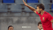 High Five Sl Benfica GIF by Sport Lisboa e Benfica
