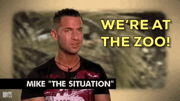 Jersey Shore Mike GIF by Jersey Shore Family Vacation