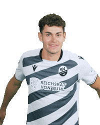 3Liga Sticker by SV Sandhausen