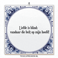 Humor Nl GIF by Tegelspreuken.nl
