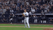 New York Yankees GIF by MLB