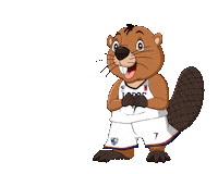 Coquimbo Sticker by Club Deportivo Lobos