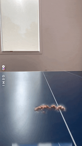 Horror Fail GIF by GEMI