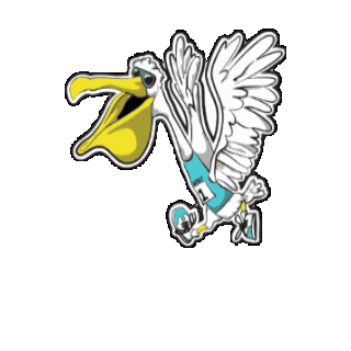 StPeteRunFest giphygifmaker petey stpete stpeterunfest Sticker