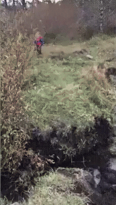 gifvif GIF