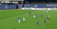 joebendik GIF by Orlando City SC