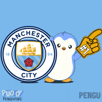 Manchester City Football GIF by Pudgy Penguins