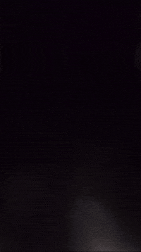 Harbour Seal GIF by Valley Zoo Development Society