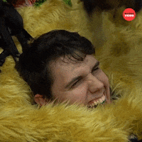 Puppies National Puppy Day GIF by BuzzFeed