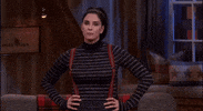 sarah silverman no GIF by HULU