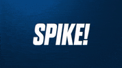 Oregon Tech Spike GIF by Oregon Tech Athletics