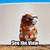 Peace Wisdom GIF by Guinea Gambino