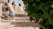 Steve Mcgarrett Tani Rey GIF by CBS