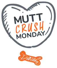 National Mutt Day Sticker by dotsure