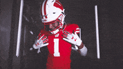 Football Brush Off GIF by Wisconsin Badgers