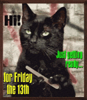 Friday The 13Th Cat GIF