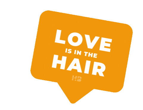 Hb Love Is In The Hair Sticker by haarmode brommert