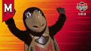 College Sports Maryland GIF by College Colors Day