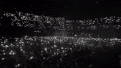 lighters GIF by RockTheOcean