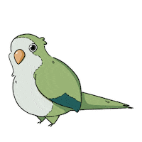 Smokycat bird enojado enojo indignado Sticker