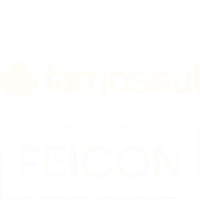 Feicon Sticker by Famossul