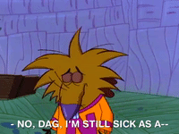 nickrewind nicksplat angry beavers GIF