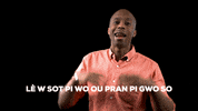 Haitian Flag GIF by Bernardson