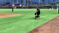 'Bat Dog' Brings Water to Umpire at Las Vegas Minor League Baseball Game