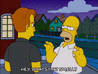 shocked homer simpson GIF