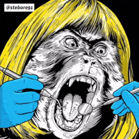 Monkey Smile GIF