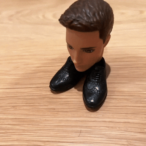 txiqs barbie ken barbie head ken head GIF