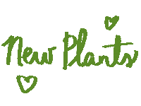 Plant Nuevo Sticker