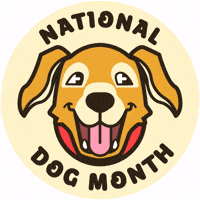 Dog Show Dogs GIF by Animanias