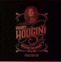 HarryHougini gin houginigin harrygin GIF