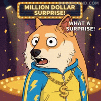 No Way Wow GIF by Doge Pound