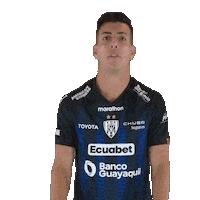 Del Valle Soccer Sticker by INDEPENDIENTE DEL VALLE