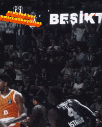 Ismael GIF