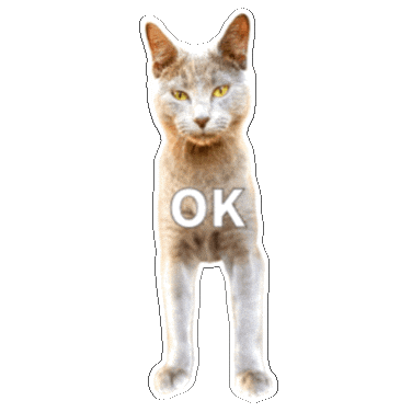 Cats Ok Sticker