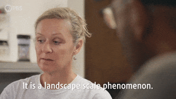 Landscape Scale Phenomenon