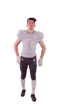 Football Ball Sticker by ACSL - Austrian College Sports League