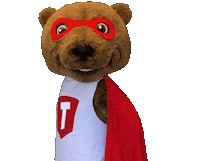 Super Hero Halloween Sticker by Touchdown's Team