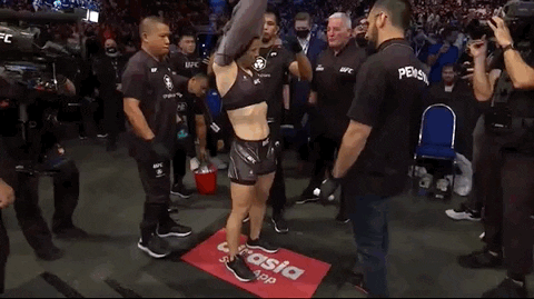 Sport Fighting GIF by UFC