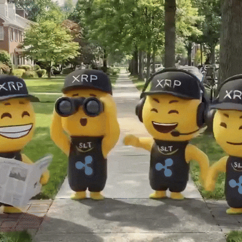 Well Done Win GIF by SaluteXRPL