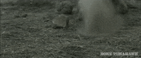 zahler scraigzahler GIF by Cinestate