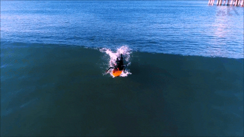 LX_GIFS giphygifmaker surfing socal lx GIF