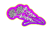 Milk And Bone Illustration Sticker by Bonsound